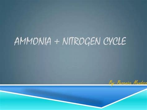 Ppt Ammonia Nitrogen Cycle Powerpoint Presentation Free Download