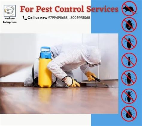 Cockroaches Pest Control Services At Rs Square Feet In Jaipur Id