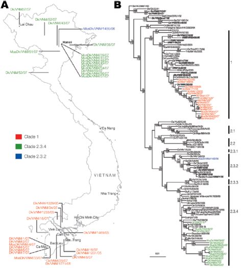 A Map Of Vietnam Showing The Location Of Infl Uenza A Virus H N