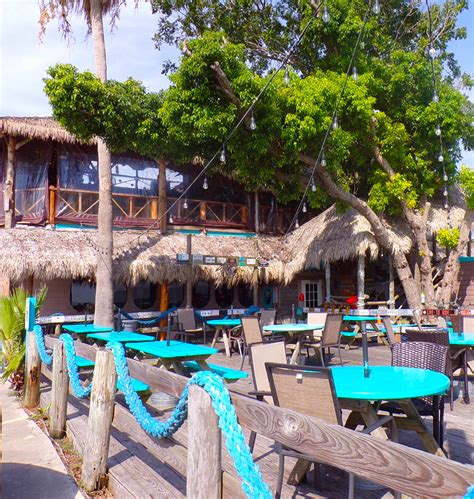 Photo Gallery Noahs Ark Restaurant And Palapa Bar