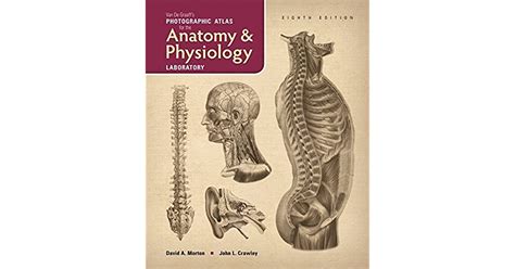 Van De Graaff S Photographic Atlas For The Anatomy Physiology