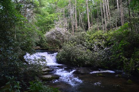 Mud Creek Trail to Mud Creek Falls, Sky Valley, Georgia - HIKING THE ...