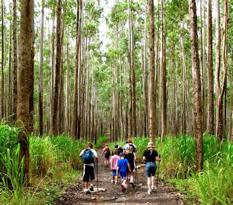 HAWAII Magazine's "15 Great Hawaii Hiking Trails" guide - Hawaii Magazine