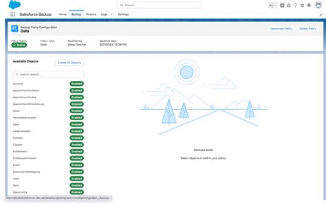 Salesforce Backup Installation Guide Salesforce Trailhead