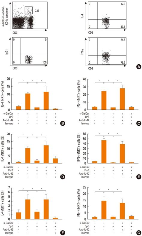 Effects of LPS FlaB or CpG on IL 4 and IFN γ production from