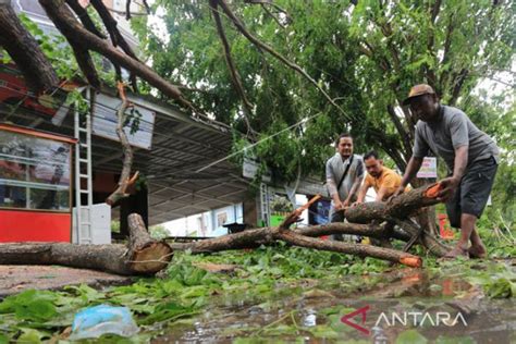 BMKG Ingatkan Potensi Angin Kencang Dan Gelombang Tinggi Di Aceh