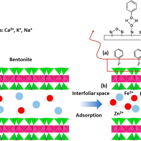 Adsorption Mechanism Of Clay For A Phenol And B Heavy Metals Hanane Et