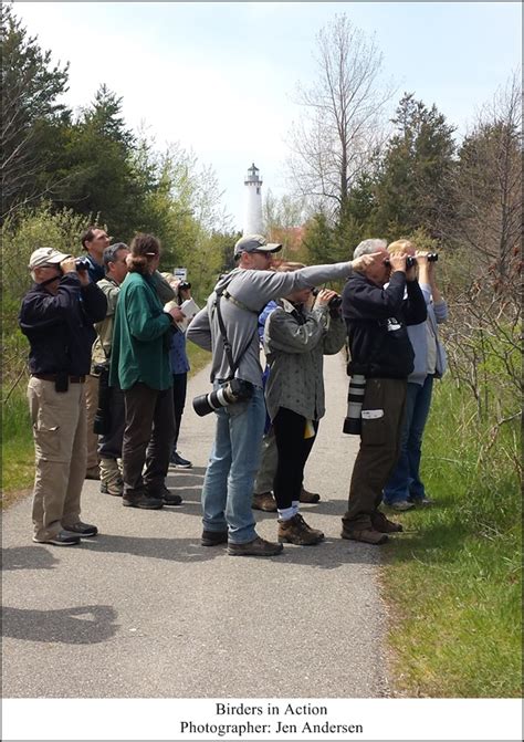 Tawas Point Birding Festival 2016