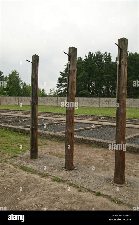 Within The Prison In The Concentration Camp Of Sachsenhausen Hi Res