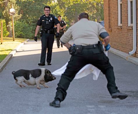 PetaPixel - Photographer Captures Hour-Long Police Chase of a Runaway ...