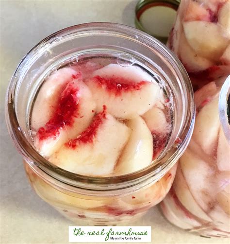 How To Can White Peaches So Beautiful And So Delicious Canning