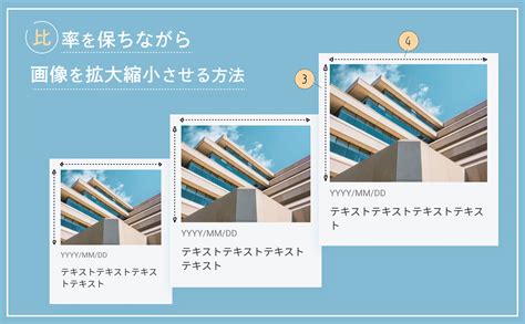 比率を保ちながら画像を拡大縮小させる方法 Tipsweb