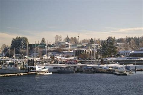 Port McNeill Harbour | Photo, Information