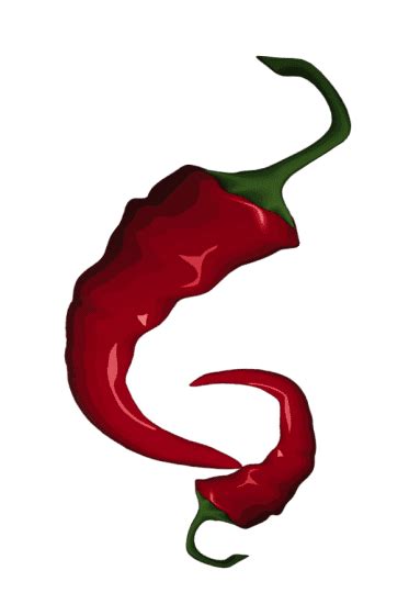 When To Pick Habaneros 3 Best Ways To Store Peppers Grow Hot Peppers