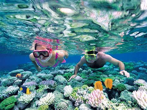 Snorkeling HD Wallpapers - Wallpaper Cave