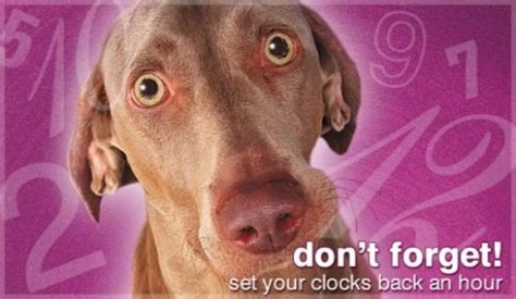 Dont Forget Ecard Free Daylight Saving Ends Cards Online