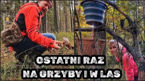 Czy to Już OSTATNI Raz Na GRZYBY i w LAS Czy Są Jeszcze Grzyby