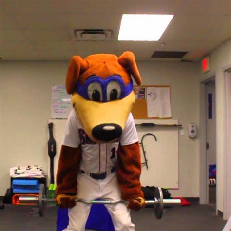 Smokies | Mascot Hall of Fame