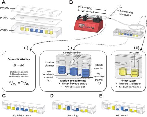 Schematic Depiction Of The Pneumatically Actuated Microfluidic Device