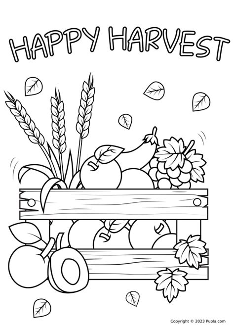 🖍️ Thanksgiving Happy Harvest Printable Coloring Page For Free