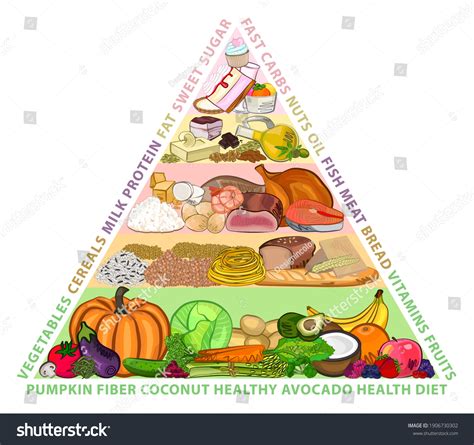 Food Pyramid Food Vector Illustration 库存矢量图（免版税）1906730302 Shutterstock