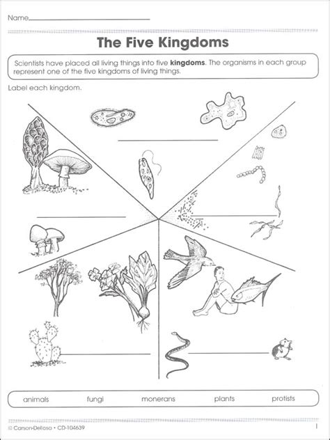 Kingdoms Of Living Things Worksheet