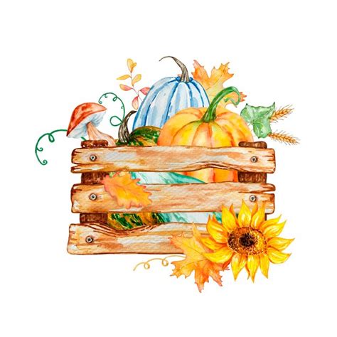 Premium Vector Watercolor Illustration Of Autumn Pumpkins In A Wooden