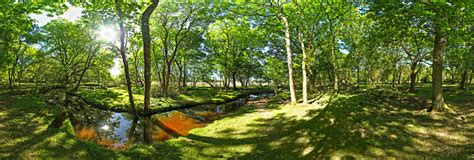 Mill Lawn Brook Stream In The New Forest National Park 360 Panorama