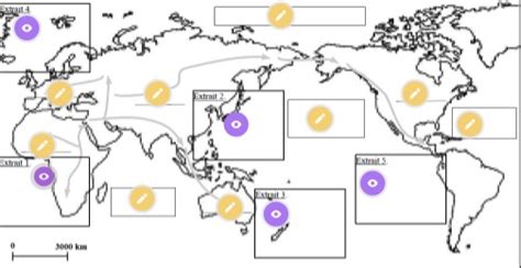 Le Peuplement De La Terre Par Homo Sapiens