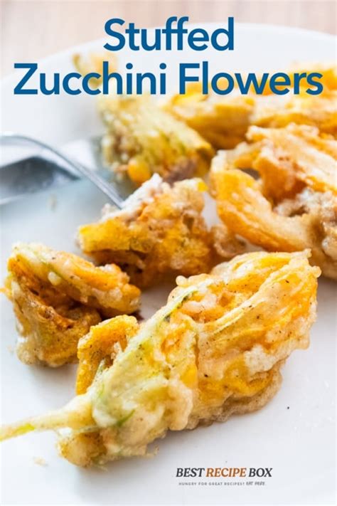 Stuffed Zucchini Flowers Recipe Crispy Blossoms Best Recipe Box