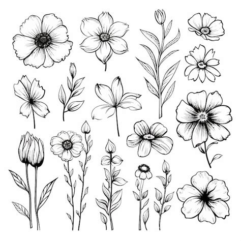 Dibujos De E Flores Para Colorear Vsun