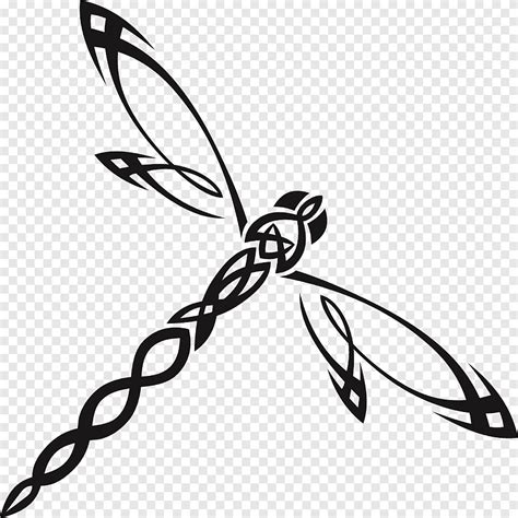 Dragonfly Insect Dragonfly Insects Monochrome Png Pngegg