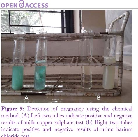 Figure 1 From Evaluation Of Three Non Invasive Pregnancy Diagnosis Tests Modified Seed