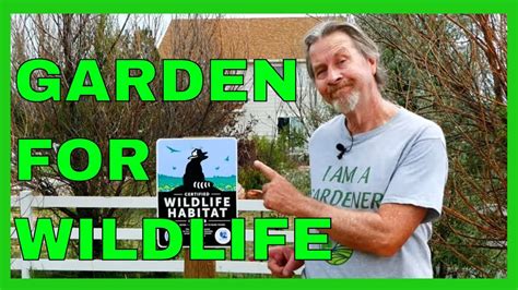 Create a Wildlife Habitat Garden (NWF) - YouTube