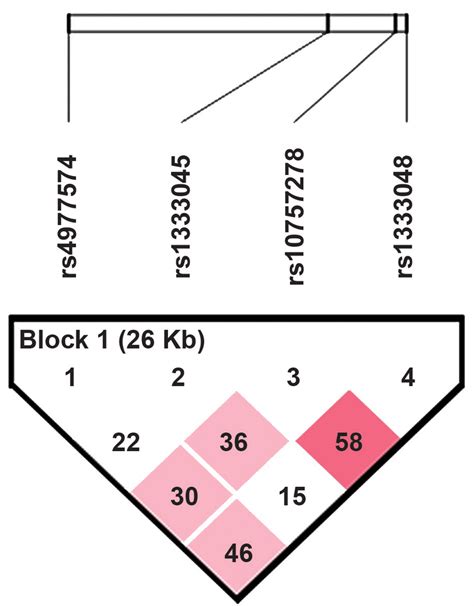 Linkage Disequilibrium Ld Plot Based On The Four Snps Typed The