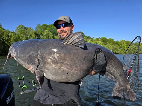 Blue Catfish Breaks West Virginia State Record