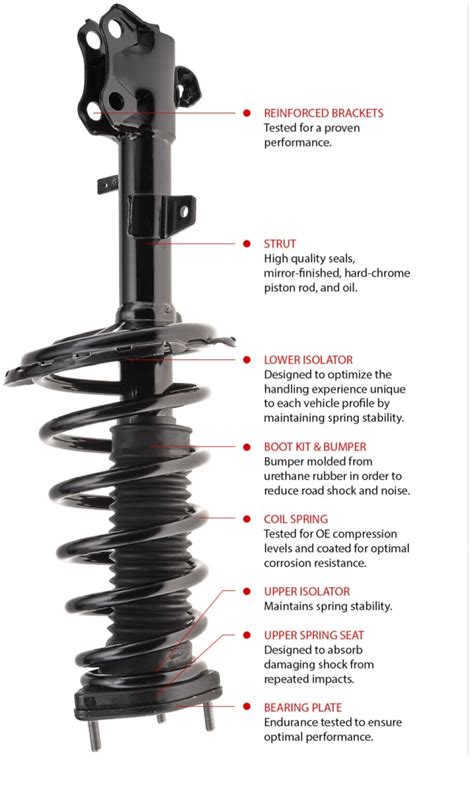 Complete Strut Assembly Worldparts