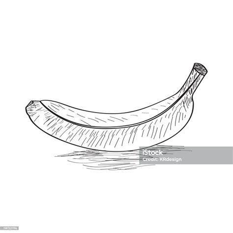 Sketsa Pisang Ilustrasi Stok - Unduh Gambar Sekarang - Buah, Clip art ...