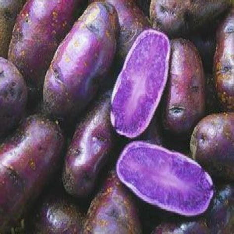 9 Popular Blue And Purple Potato Varieties