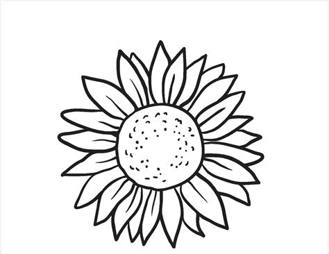 Dibujos De Girasol Para Colorear E Imprimir Coloringonly Com