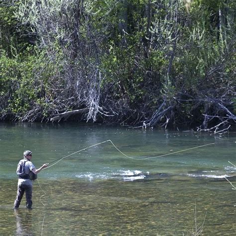 In Pacific Northwest, Restoring Salmon Migration Routes Would Carry Big ...