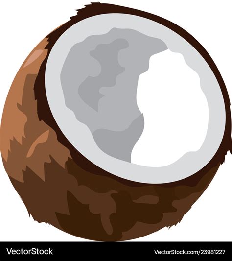 Coconut Fruit Cartoon Royalty Free Vector Image