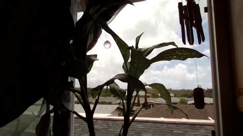 ASMR Wind Blowing Through Bamboo Wind Chimes YouTube