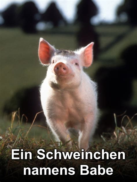 Prime Video Ein Schweinchen Namens Babe