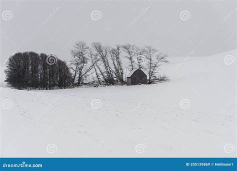 Winter Landscape in the Palouse Stock Image - Image of color ...