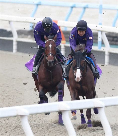 【ジャパンc】ドウデュース抜群！徐々にペースupラスト1f11秒7― スポニチ Sponichi Annex ギャンブル