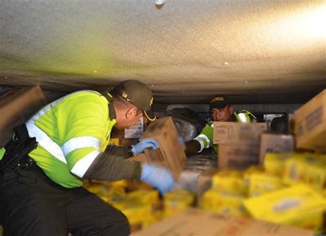 Incautan Marihuana De La Oficina En La Pintada