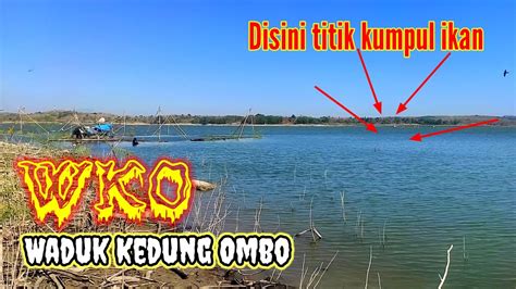 Wko Terbaru Beruntung Ketika Mancing Pas Dititik Ikan Berkumpul