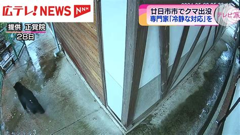 クマ 広島県廿日市市で目撃相次ぐ 専門家は「冷静な対応を」（2024年5月30日掲載）｜広テレ！news Nnn