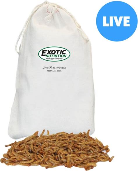 Exotic Nutrition Live Mealworms Reptile Food Medium Count Chewy